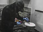 Truth about lethal 'pink cocaine': Narcos warn new designer drug cocktail is cooked up by the sons of El Chapo is flooding US and UK after being linked to Liam Payne's death
