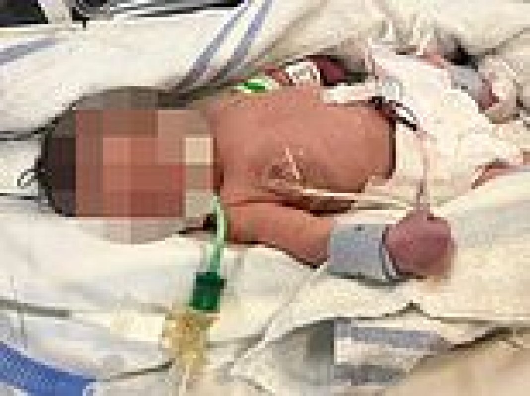 The miracle newborn who survived after mother fell 90ft to her death from tenth floor tower block window: Grieving daughter posts heartbreaking photo of baby 'Posie' fighting for life in hospital